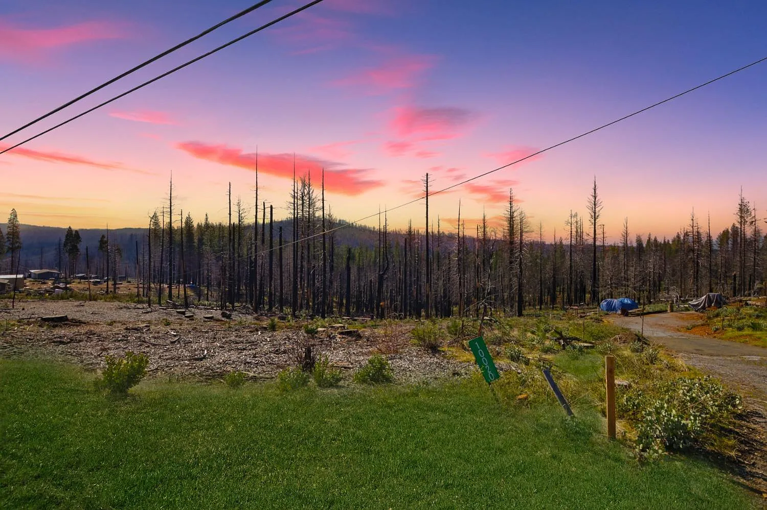 10020 Grizzly Flat Rd photo 1