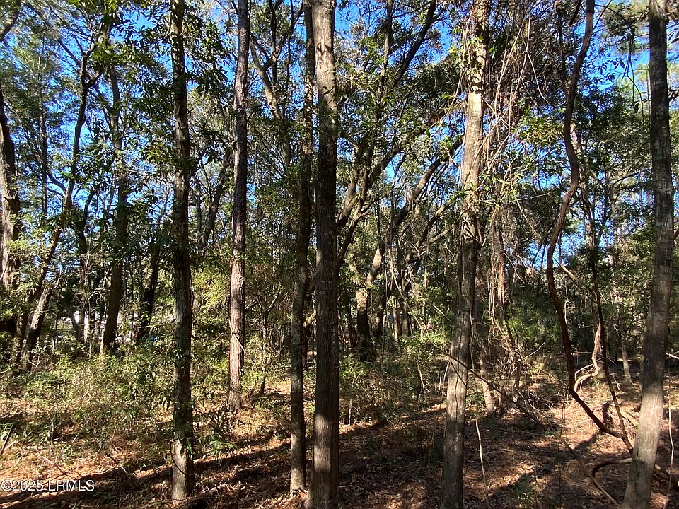 1st image of Tbd Capers Island Circle
