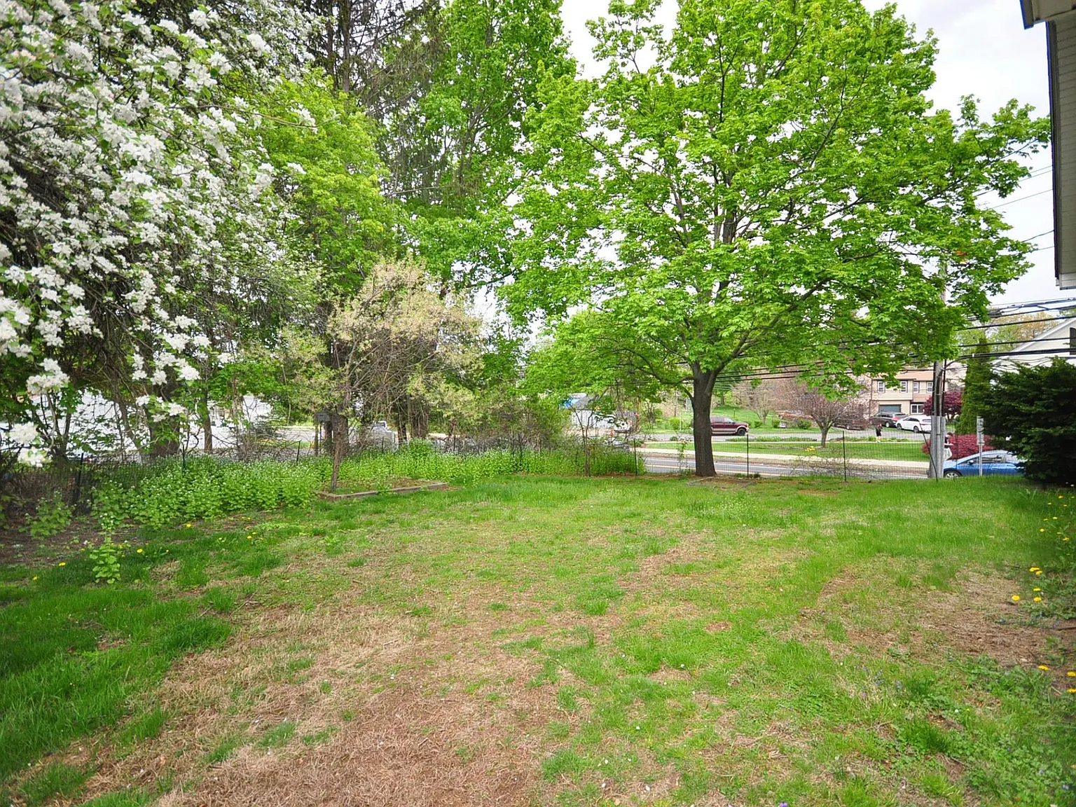 178 Plainville Ave — Photo 4