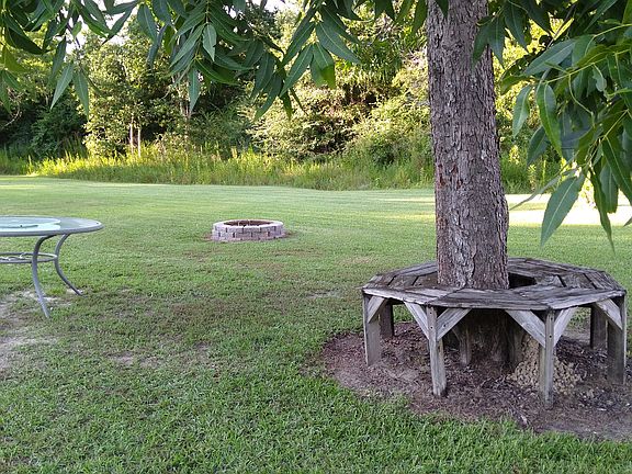 Mature Pecan Tree/Fire Pit 