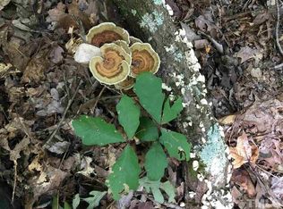 0 Heritage Dr, Efland, NC 27243