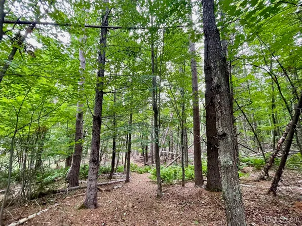 PARCEL Heather Ln #A, Marquette, MI 49855