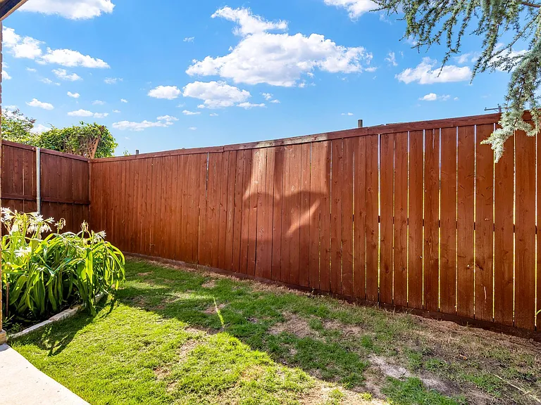 Backyard