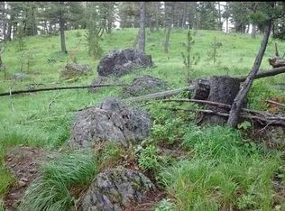 Nhn Outback Ln, Gold Creek, MT 59733