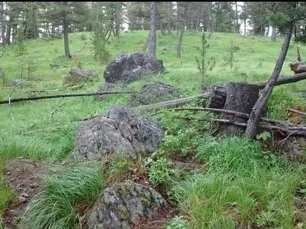 Nhn Outback Ln, Gold Creek, MT 59733