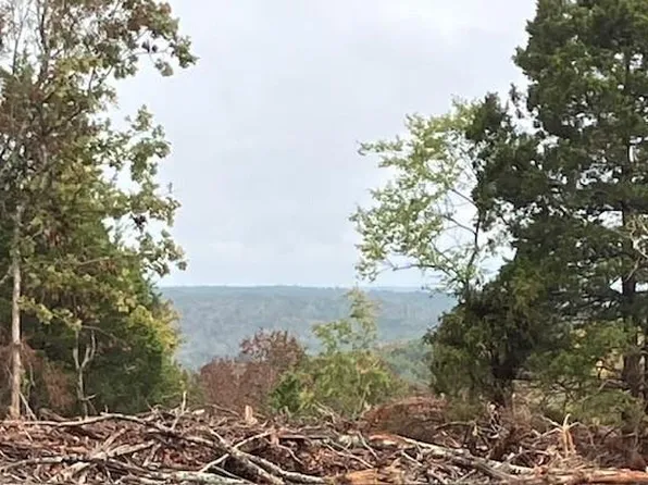 42 Madison St #410, Fredericktown, MO 63645