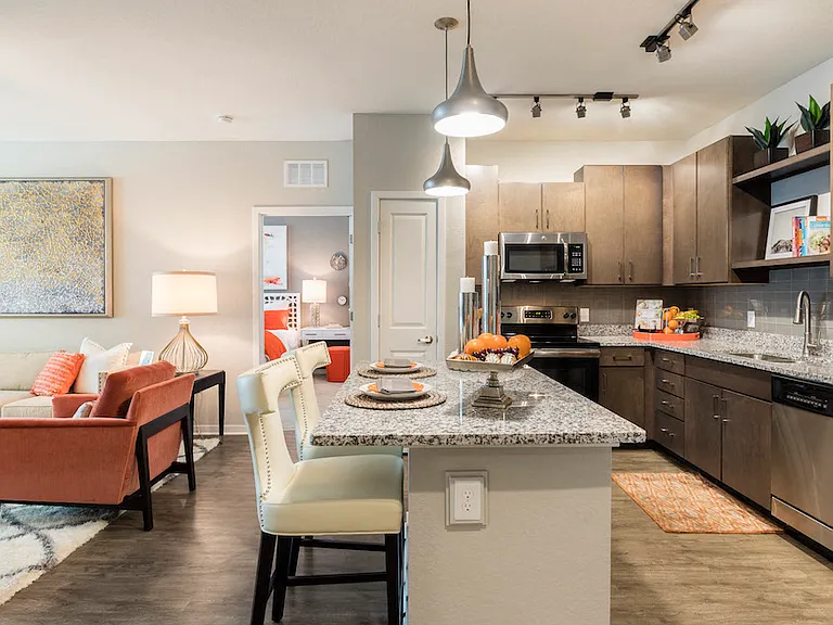 Ariel - Lake Nona — Photo 19