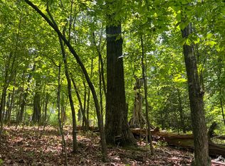 31 Grant Ln, Mineral Bluff, GA 30559