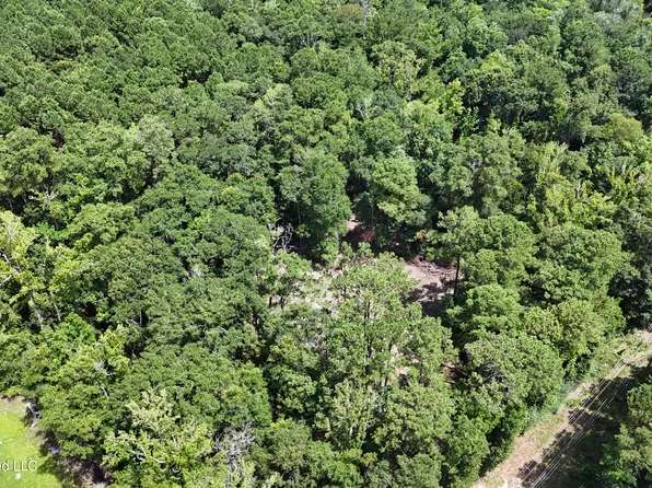 Old Dees Pl, Vancleave, MS 39565
