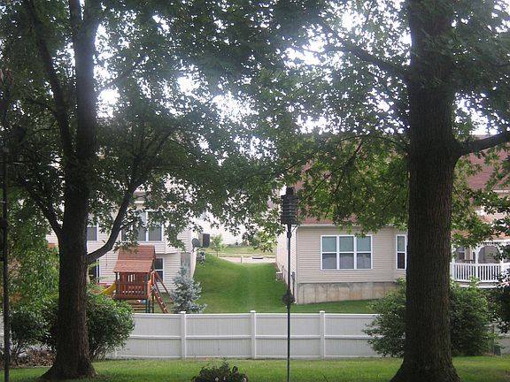 Back yard from patio