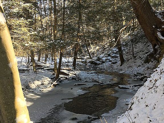 2nd image of 399 Long Rd