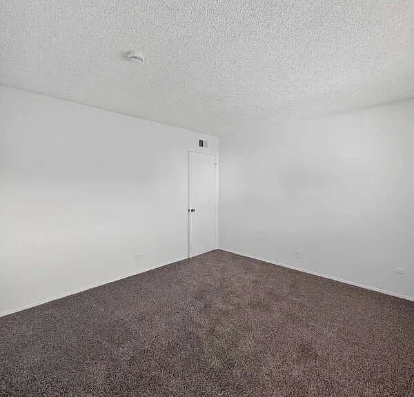 4459 Avenida Granada — Photo 16