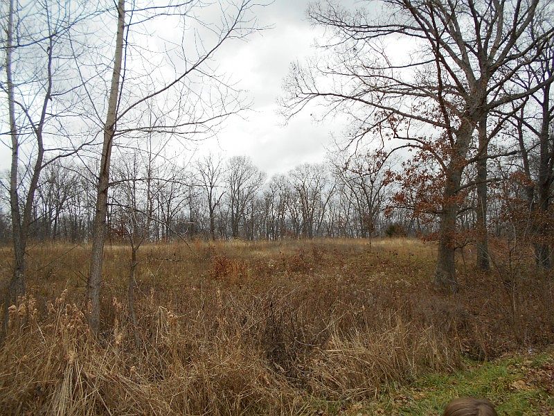 1st image of 143 Finch Ln