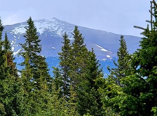 420 Valley Of The Sun Dr, Fairplay, CO 80440