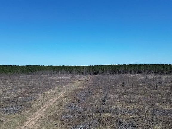 4th image of 21XX Tomahawk Lake Road