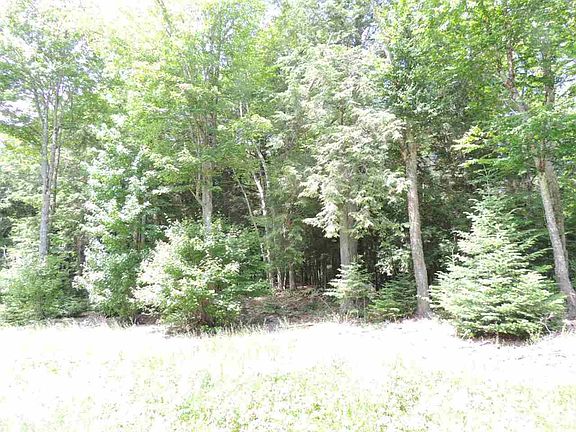 Wooded Lot 16