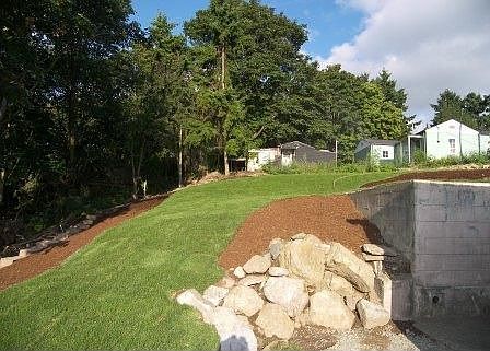 New lawn and professionally landscaped