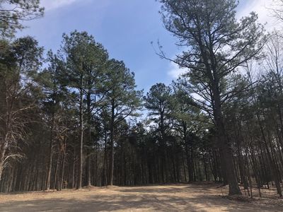 5 Daugherty Capley Rd Lot 5, Primm Springs, TN, 38476