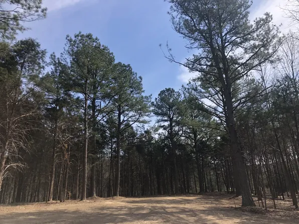 5 Daugherty Capley Rd Lot 5, Primm Springs, TN 38476