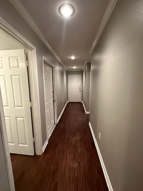 3 bed, 1295 sqft, $1,650 — Photo 4