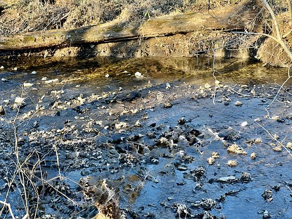 4th image of 3318 Maxey Rd