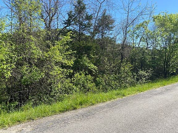 4th image of Wild Turkey Dr #2