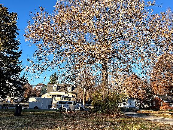 2nd image of 603 W Calhoun St