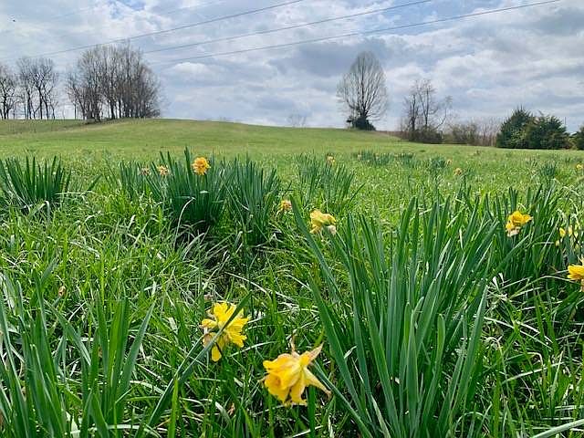 1st image of 1280? Oak Hill Rd