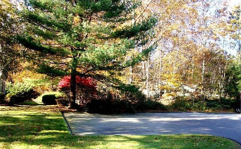 Beautifully Landscaped