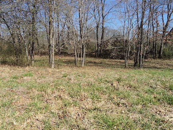5th image of 403 Albemarle Dr Lot 75