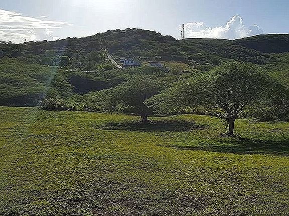 3rd image of KM 2.5 Barrio Flamenco Solar 1a Carr 250
