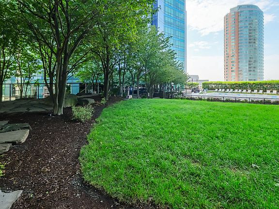 Lawn and Green Space