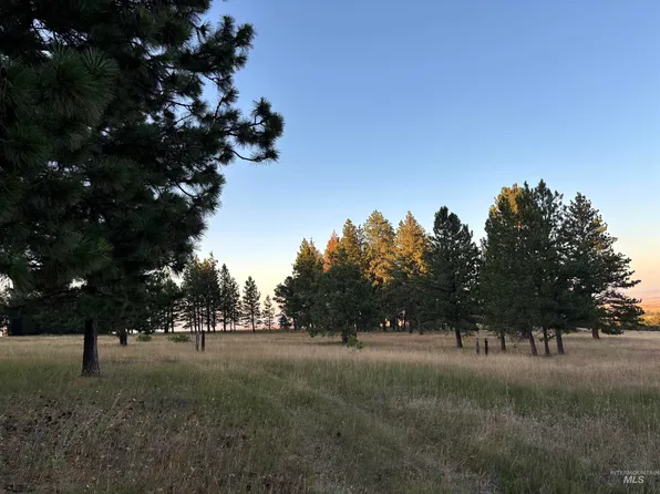 Harlow Ridge Road Cloverland Ests #35, Asotin, WA 99402