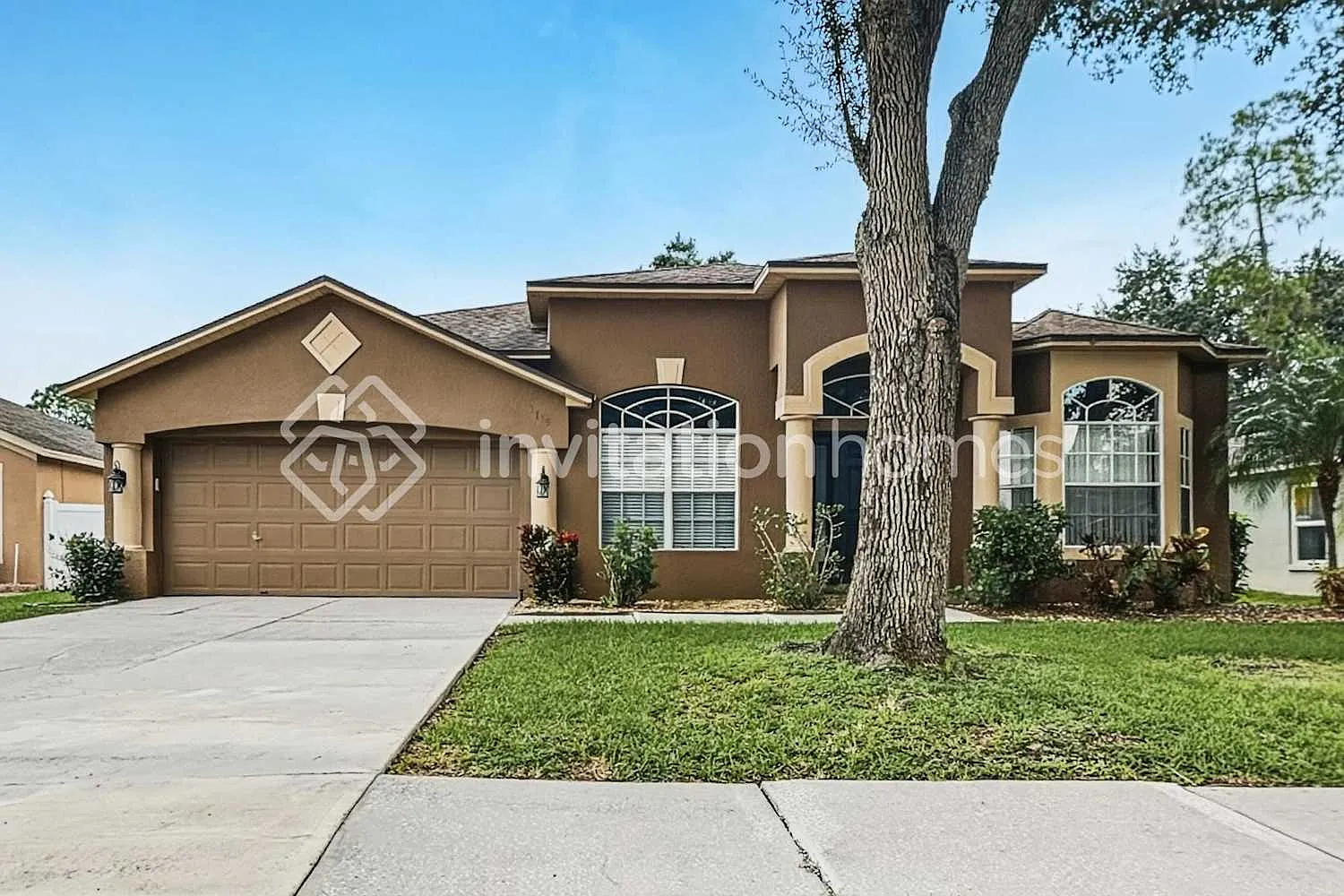 3715 Eaglewood St Valrico, FL 33596 — Photo 1