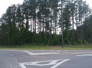 389 Woody Stubbs Rd, Mauk, GA 31058