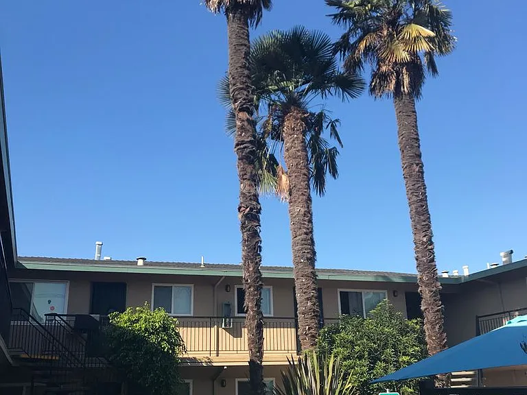 Bel- Air Apartments — Photo 13