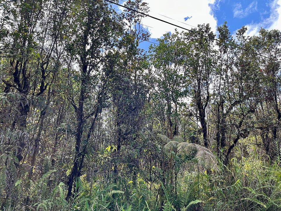 2nd image of Amakihi St Lot 15