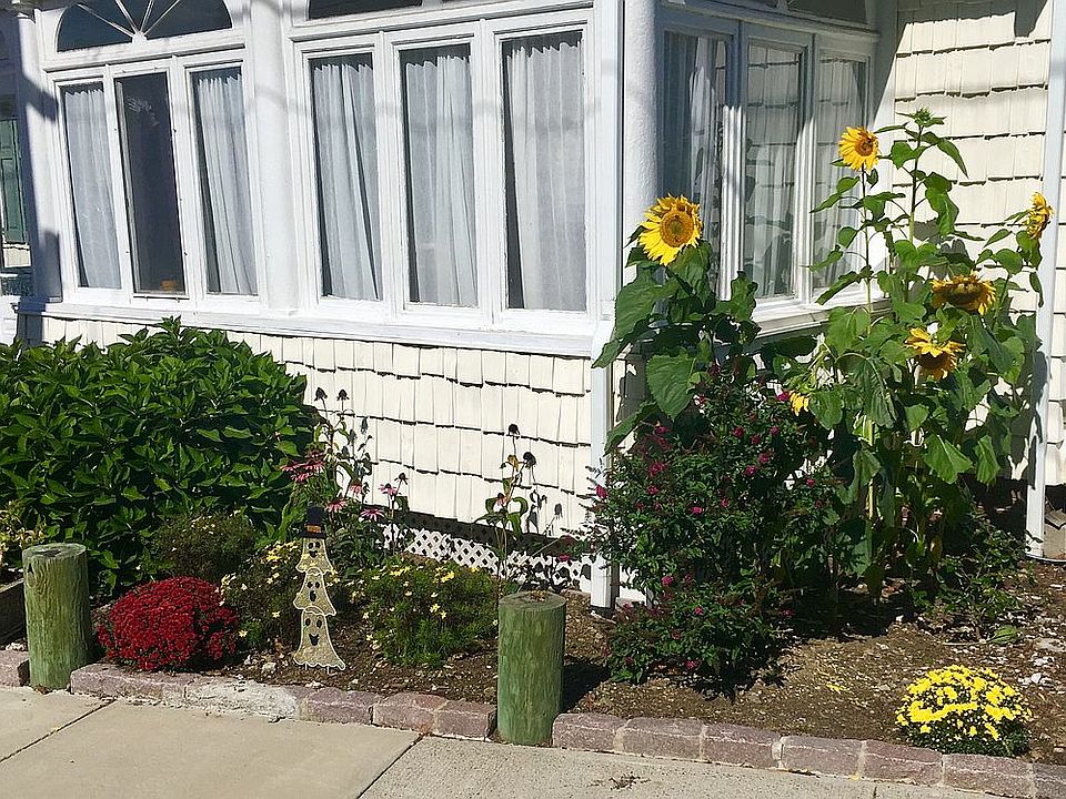 Front Flowers