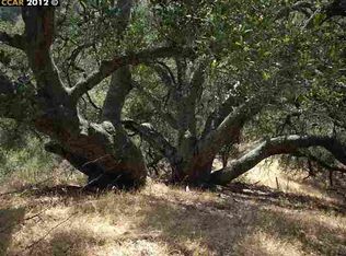 3535 Springhill Rd, Lafayette, CA 94549