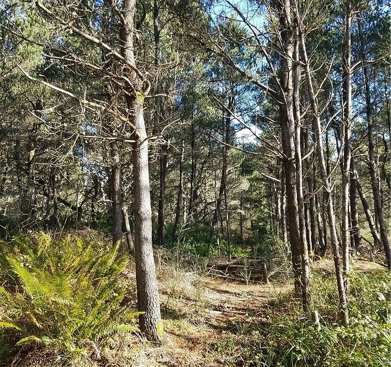 1st image of 0 0 Sandy Dr