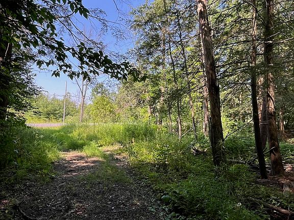 4th image of Genesee Rd Lot Wp001