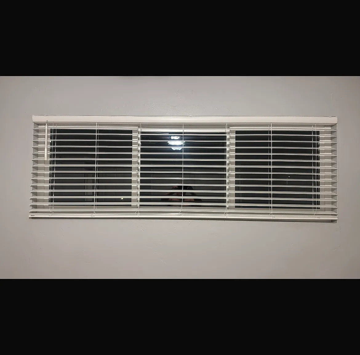 2 bed, 800 sqft, $1,195 — Photo 3