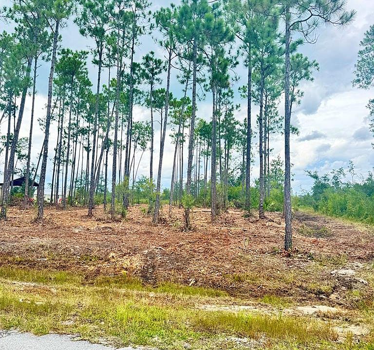 1st image of LOT 16 Live Oak Dr