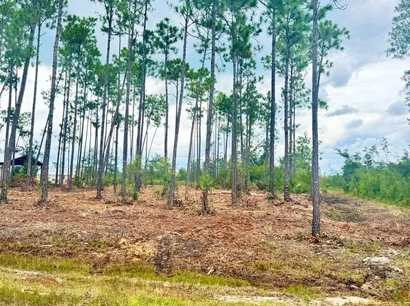 LOT 16 Live Oak Dr, Wewahitchka, FL 32465