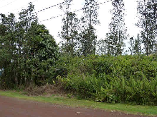 2nd image of Paradise Dr Lot 75
