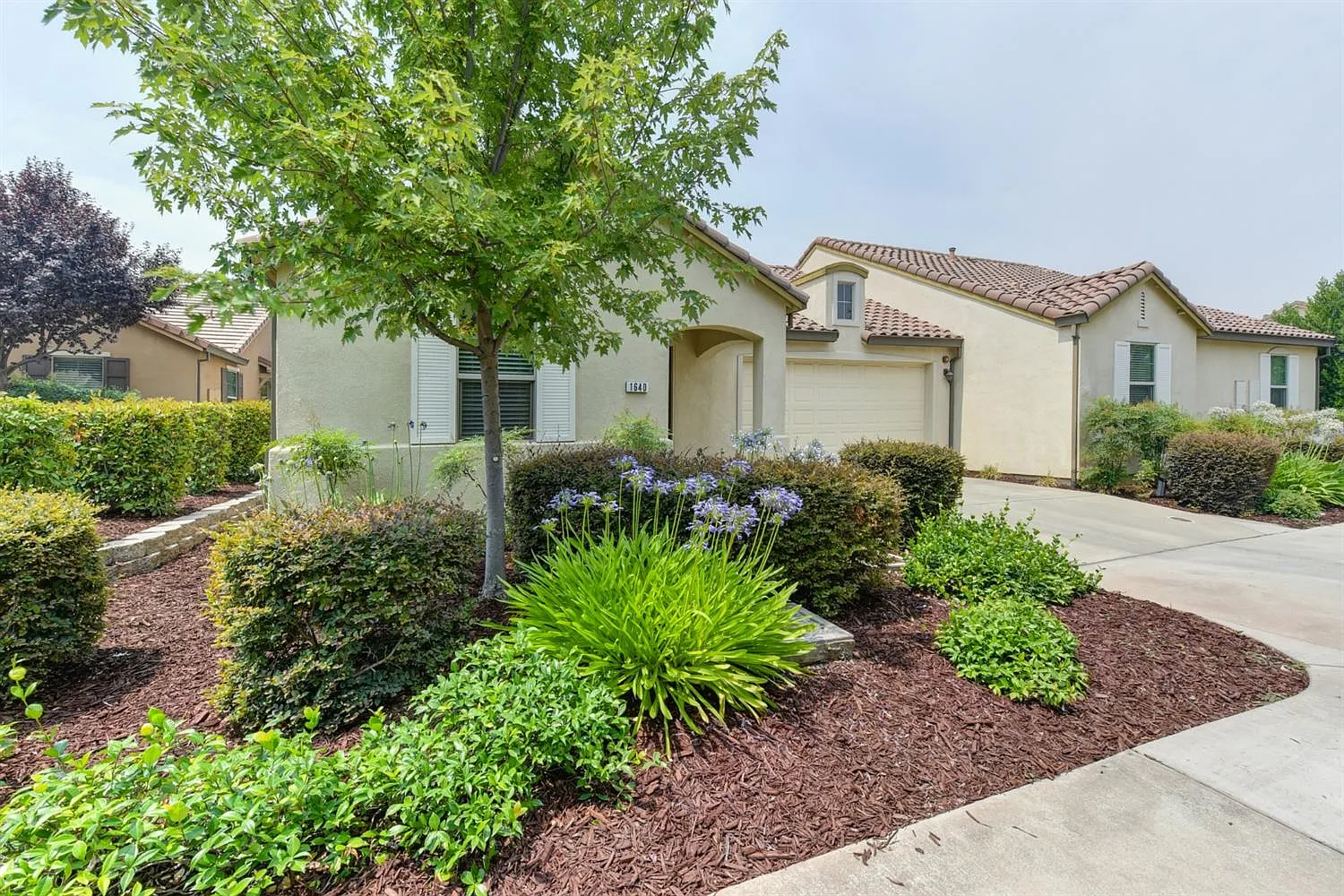 1640 Marseille Ln photo 1