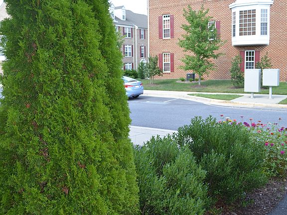 front driveway