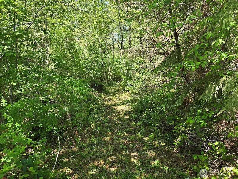 3rd image of 256 Walker Road