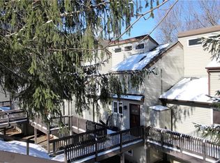 26 Valley Village Rd, Ellicottville, NY 14731