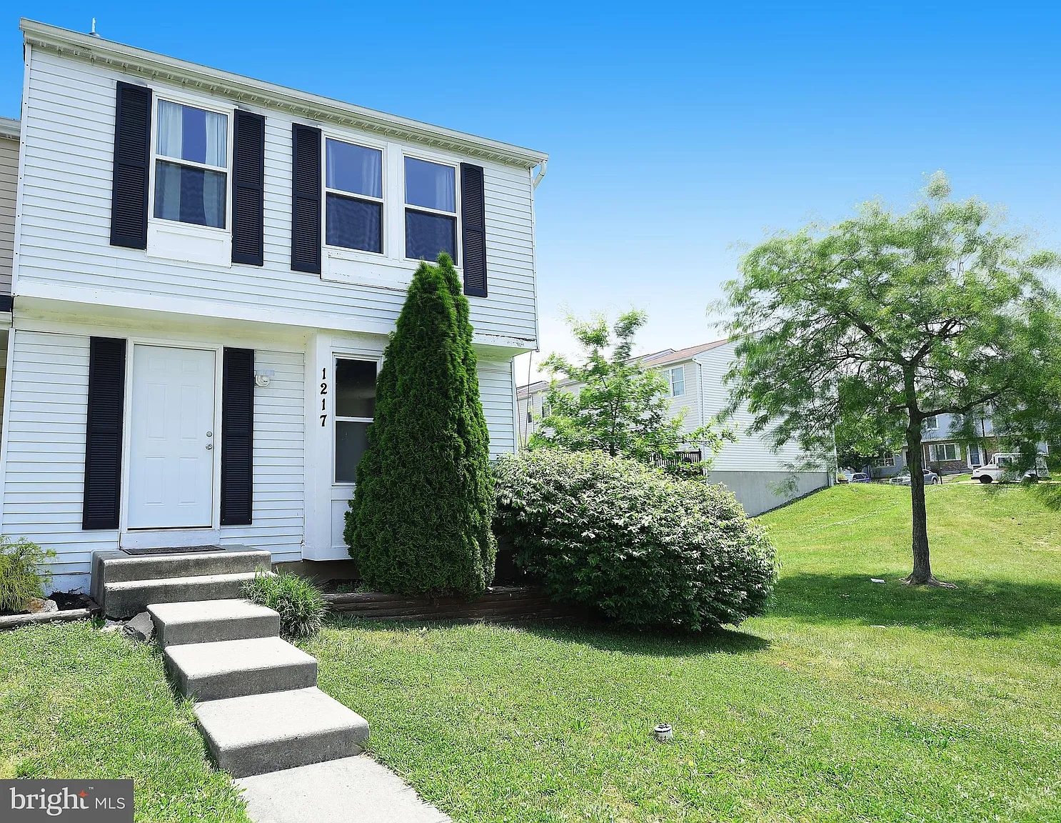 1217 Valley Leaf Ct photo 1
